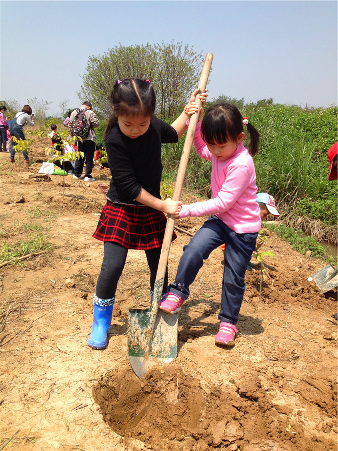 IMG_2733.jpg IMG_2733.jpg