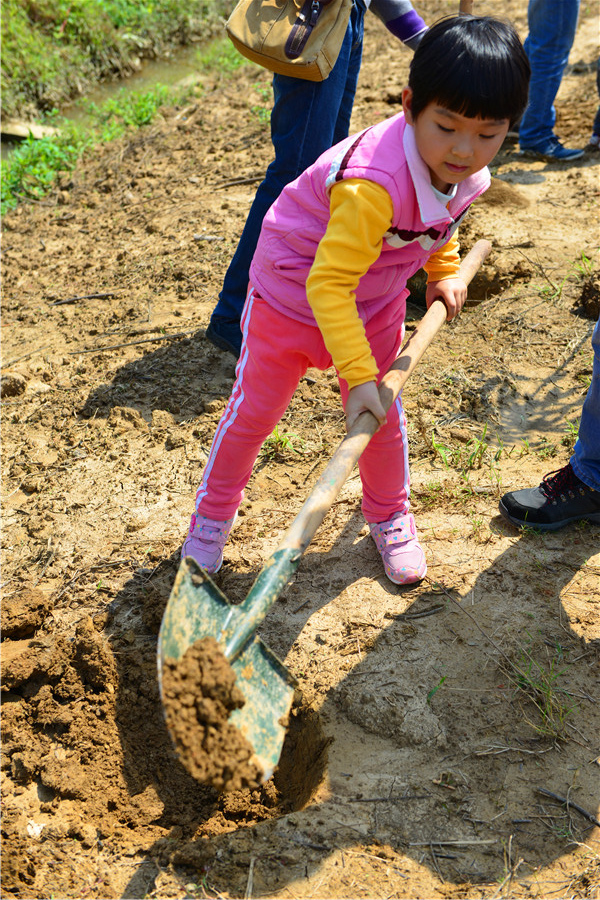 DSC_5356.jpg DSC_5356.jpg