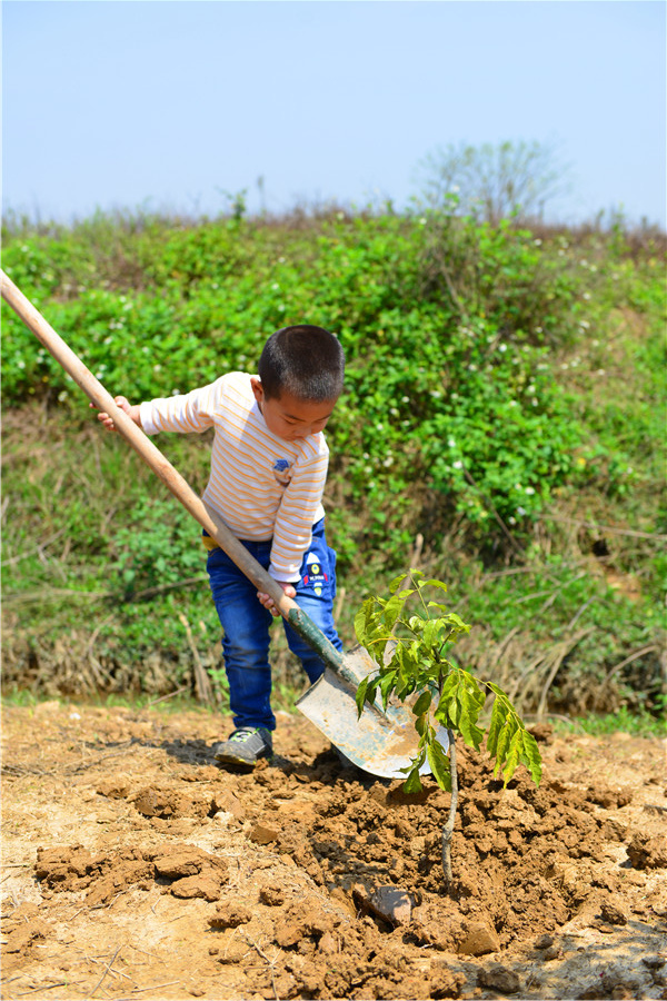 DSC_5399.jpg DSC_5399.jpg