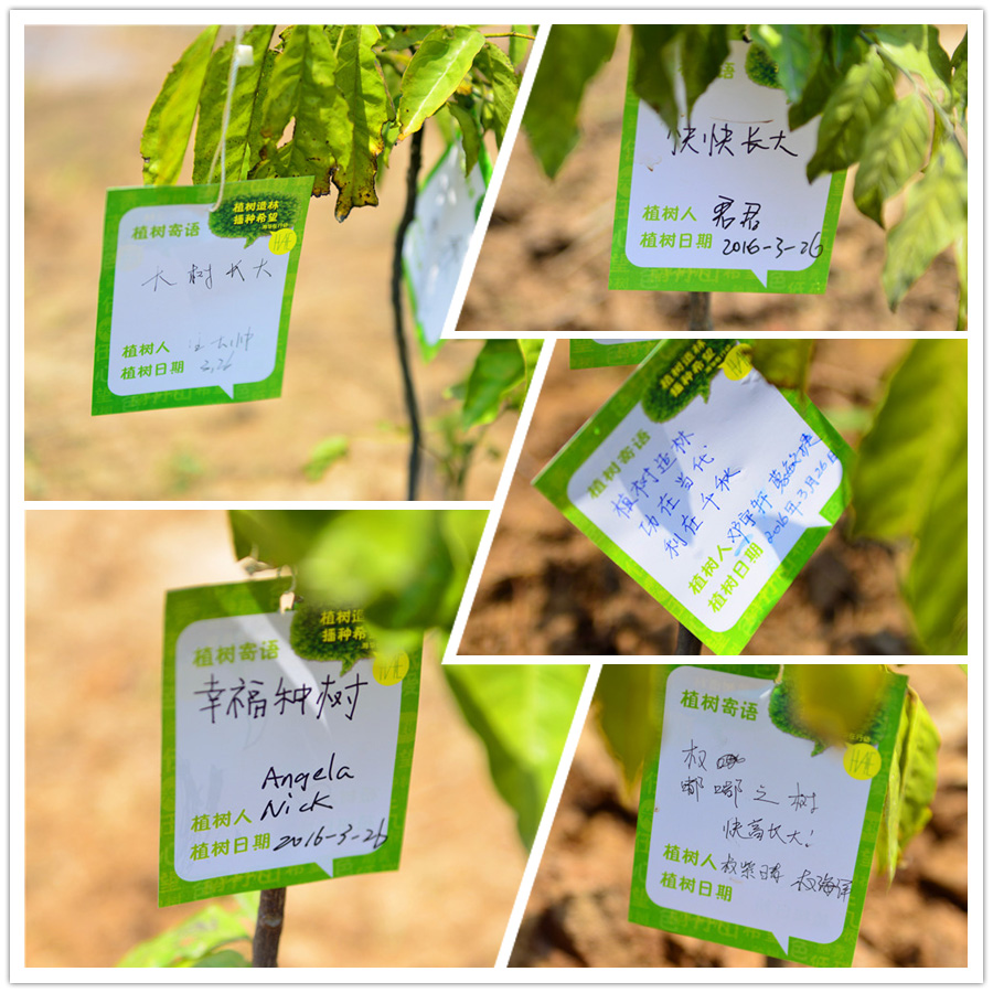 未命名.jpg 未命名.jpg