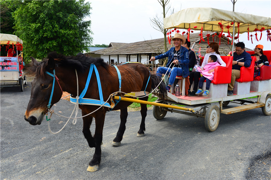 DSC_5597.jpg DSC_5597.jpg