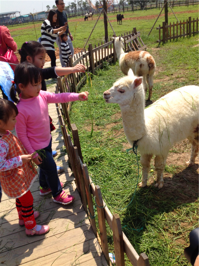 IMG_2760.jpg IMG_2760.jpg