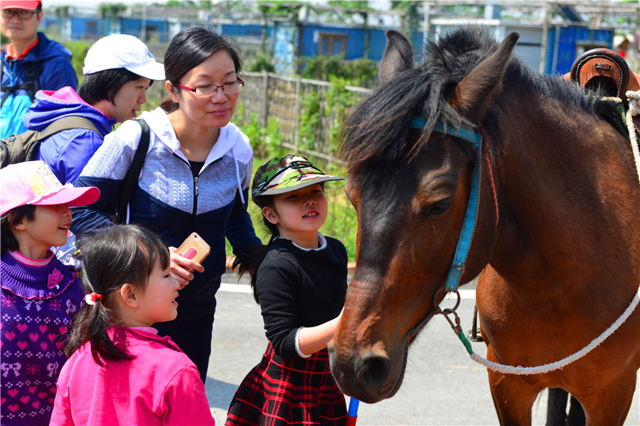 DSC_5287.jpg DSC_5287.jpg