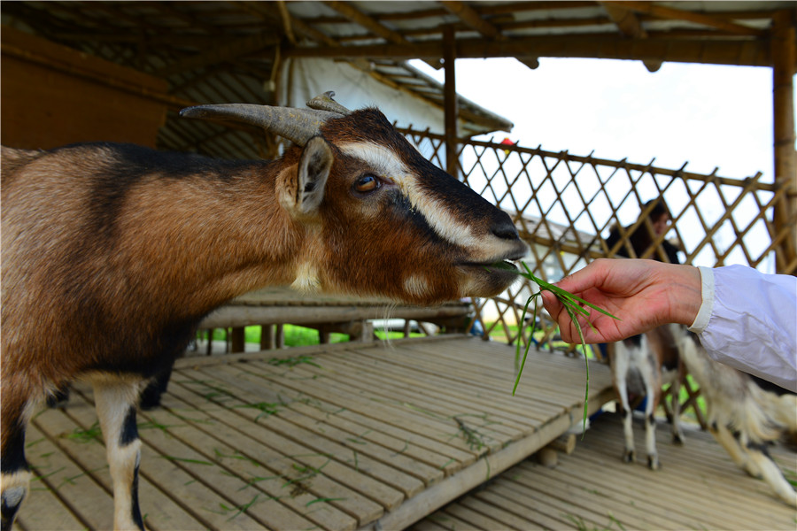 DSC_5606.jpg DSC_5606.jpg