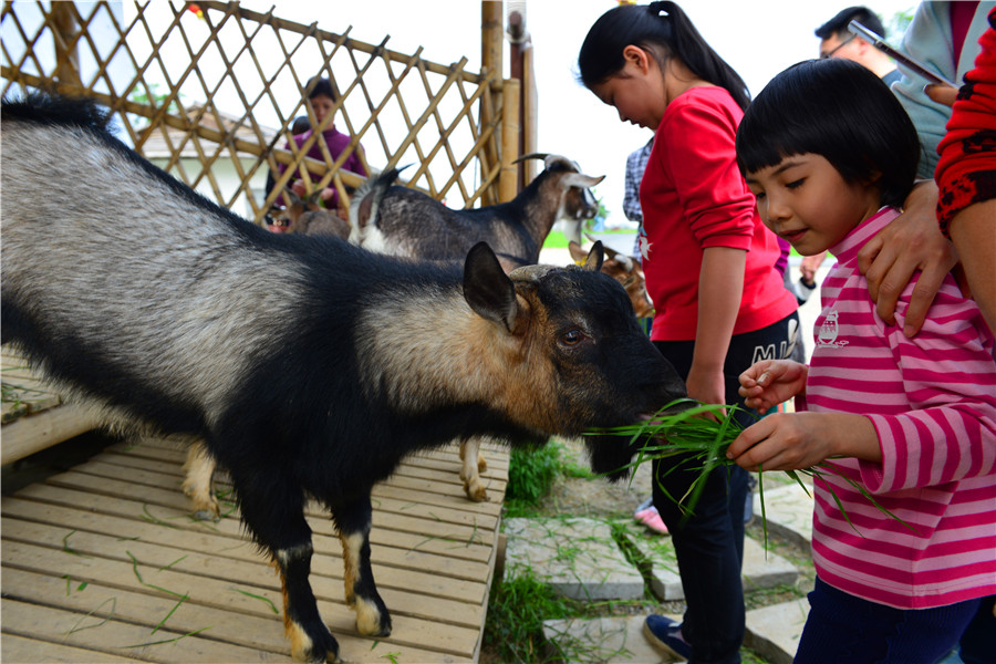 DSC_5610.jpg DSC_5610.jpg